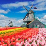 Z jakimi formalnościami wiąże się zatrudnianie pracowników w Holandii ?